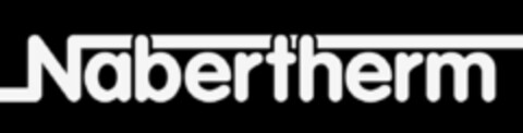 Nabertherm Logo (DPMA, 13.02.2024)