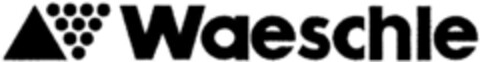 Waeschle Logo (DPMA, 04.02.1993)