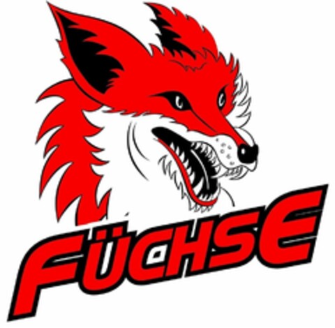 FÜCHSE Logo (DPMA, 28.06.2017)