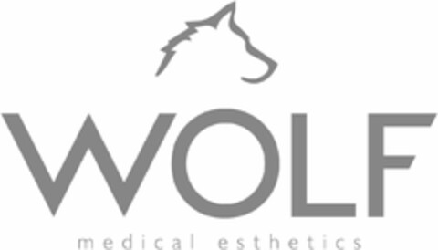 WOLF medical esthetics Logo (DPMA, 04/18/2021)