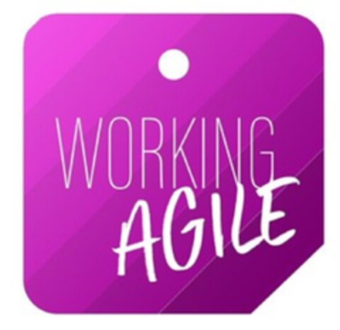 WORKING AGILE Logo (DPMA, 09.09.2022)