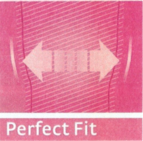 Perfect Fit Logo (DPMA, 17.03.2009)