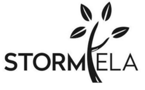STORM ELA Logo (DPMA, 04.03.2015)
