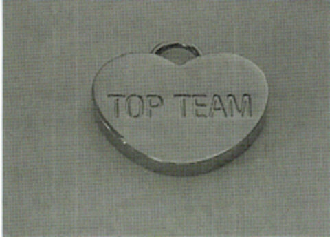 Top Team Logo (DPMA, 24.07.1998)