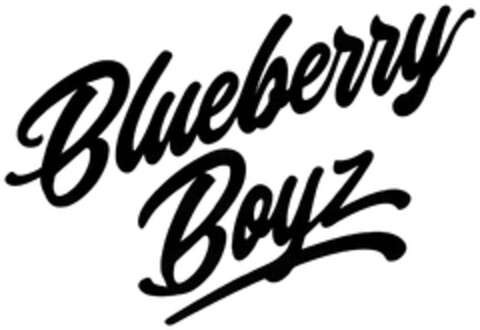 Blueberry Boyz Logo (DPMA, 07.10.2021)