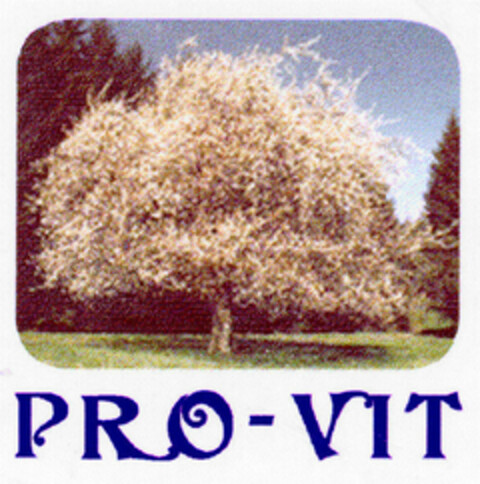 PRO-VIT Logo (DPMA, 22.09.1998)