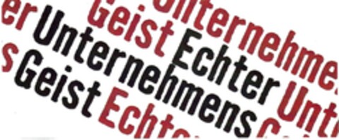 Echter Unternehmens Geist Logo (DPMA, 25.02.2008)