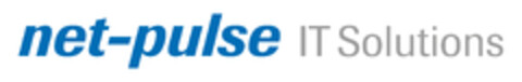 net-pulse IT Solutions Logo (DPMA, 09/11/2023)