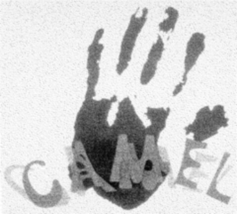 CAMEL Logo (DPMA, 06.03.1998)