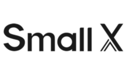 Small X Logo (DPMA, 05/27/2019)