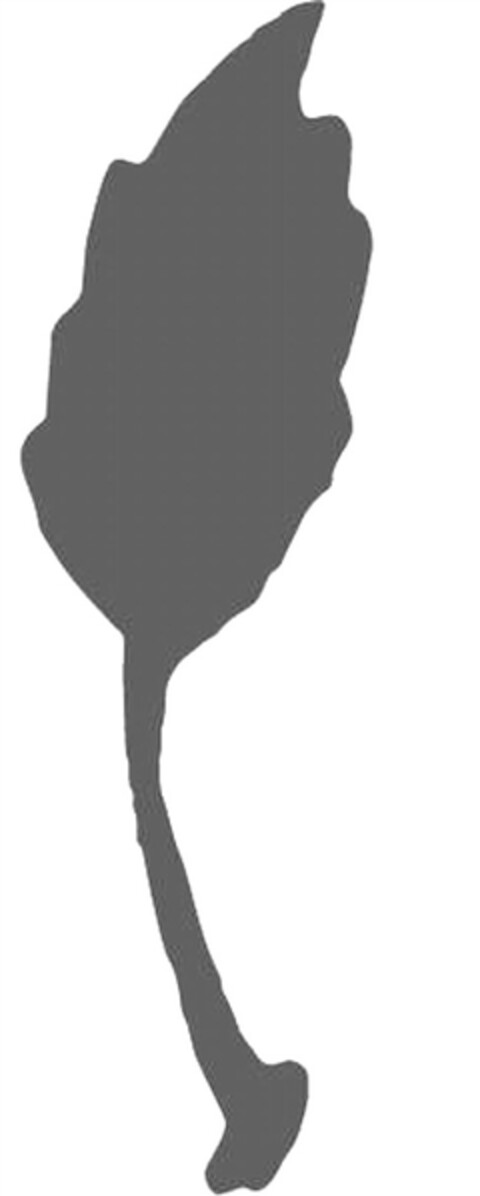 302012005647 Logo (DPMA, 20.06.2012)