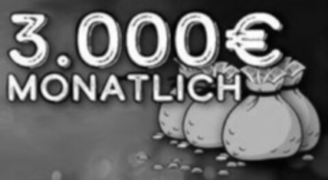 3.000 € MONATLICH Logo (DPMA, 30.09.2019)