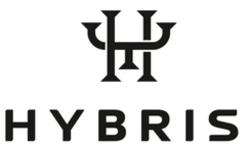 HY HYBRIS Logo (DPMA, 19.03.2024)