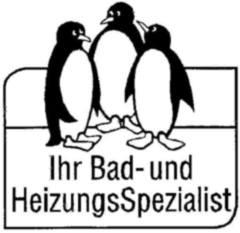 Ihr Bad- und HeizungsSpezialist Logo (DPMA, 10/15/2002)