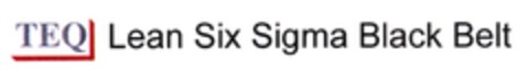 TEQ Lean Six Sigma Black Belt Logo (DPMA, 18.10.2007)