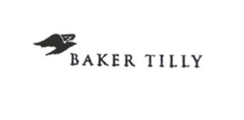 BAKER TILLY Logo (DPMA, 04/07/2004)