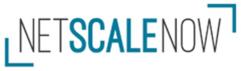 NETSCALENOW Logo (DPMA, 20.06.2017)