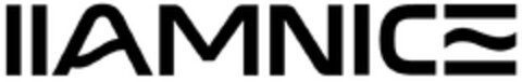 IIAMNICE Logo (DPMA, 13.01.2024)