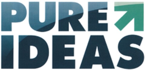 PURE IDEAS Logo (DPMA, 03.03.2011)