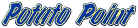 Potato Point Logo (DPMA, 11/11/2008)