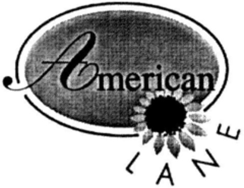 American LANE Logo (DPMA, 07/07/1994)