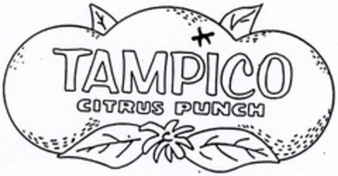 TAMPICO CITRUS PUNCH Logo (DPMA, 29.01.2004)