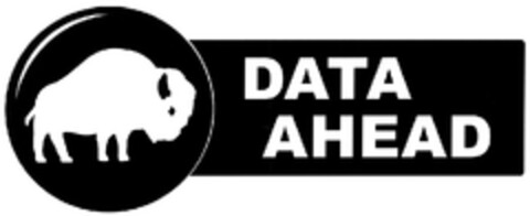 DATA AHEAD Logo (DPMA, 10.10.2007)