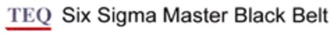 TEQ Six Sigma Master Black Belt Logo (DPMA, 18.10.2007)