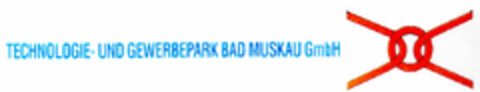 TECHNOLOGIE- UND GEWERBEPARK BAD MUSKAU GmbH Logo (DPMA, 10.06.1998)