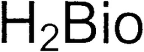 H2Bio Logo (DPMA, 01.06.2007)