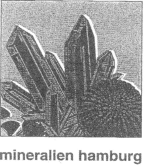 mineralien hamburg Logo (DPMA, 30.09.1999)
