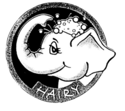 HAIRY Logo (DPMA, 19.07.2001)