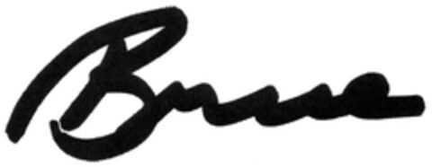 Bruce Logo (DPMA, 01/24/2008)