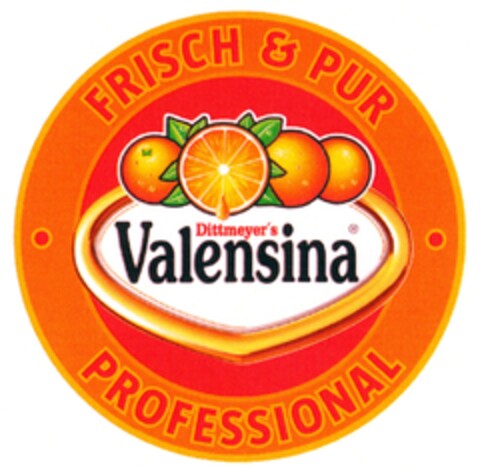 Valensina PROFESSIONAL Logo (DPMA, 06/24/2009)