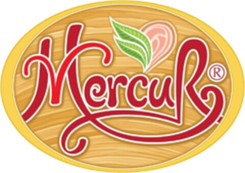 MercuR Logo (DPMA, 09.04.2014)