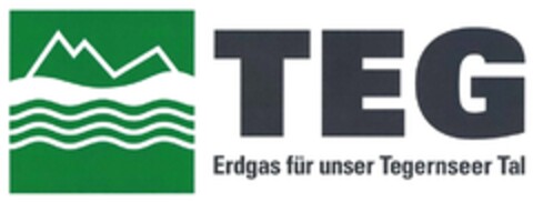 TEG Logo (DPMA, 22.12.2017)