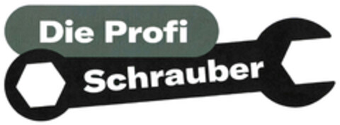 Die Profi Schrauber Logo (DPMA, 04/18/2024)