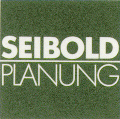 SEIBOLD PLANUNG Logo (DPMA, 02/13/1999)