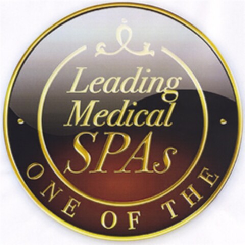 Leading Medical SPAs Logo (DPMA, 08/18/2008)