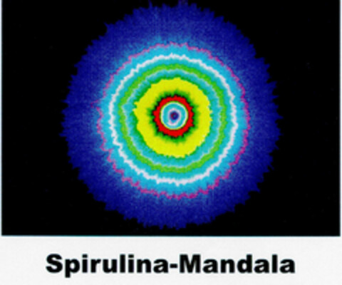 Spirulina-Mandala Logo (DPMA, 11.05.2000)