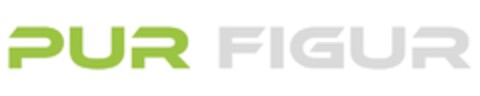 PUR FIGUR Logo (DPMA, 20.07.2018)