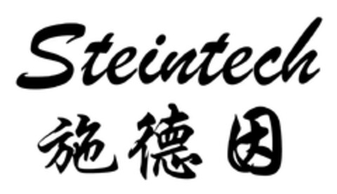 Steintech Logo (DPMA, 11.12.2023)