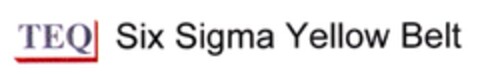 TEQ Six Sigma Yellow Belt Logo (DPMA, 18.10.2007)