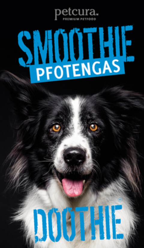 petcura. PREMIUM PETFOOD SMOOTHIE PFOTENGAS DOOTHIE Logo (DPMA, 01/08/2019)