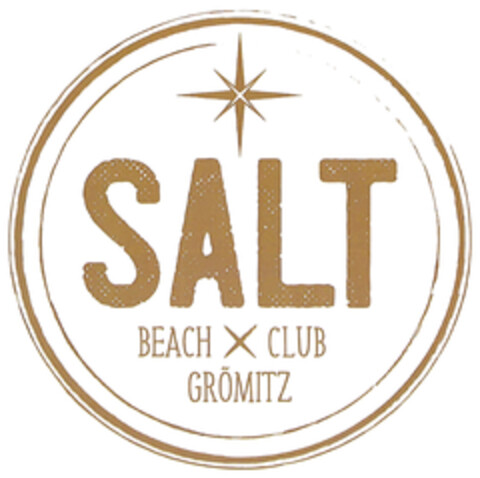 SALT Logo (DPMA, 13.01.2020)