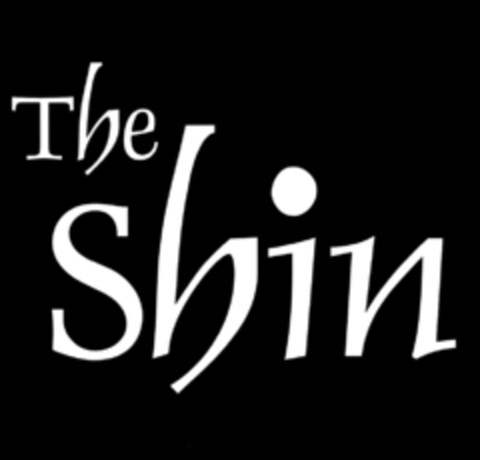 The Shin Logo (DPMA, 12/11/2009)