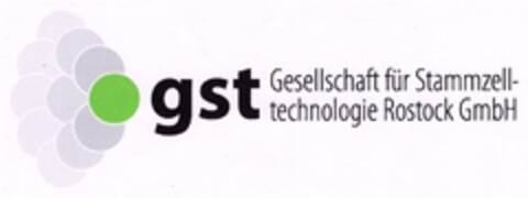 gst Gesellschaft für Stammzelltechnologie Rostock GmbH Logo (DPMA, 10.12.2007)