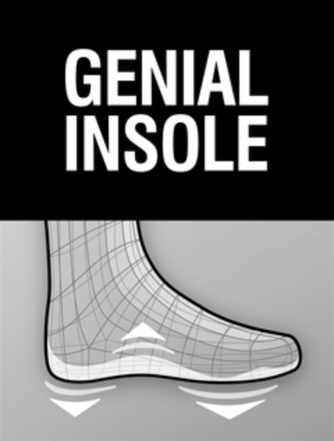 GENIAL INSOLE Logo (DPMA, 11.09.2013)