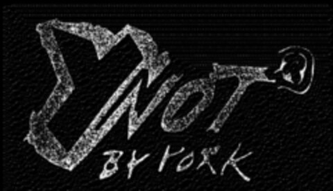 Y NOT BY YORK Logo (DPMA, 10.01.1994)