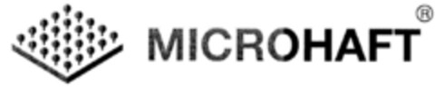 MICROHAFT Logo (DPMA, 28.09.2001)